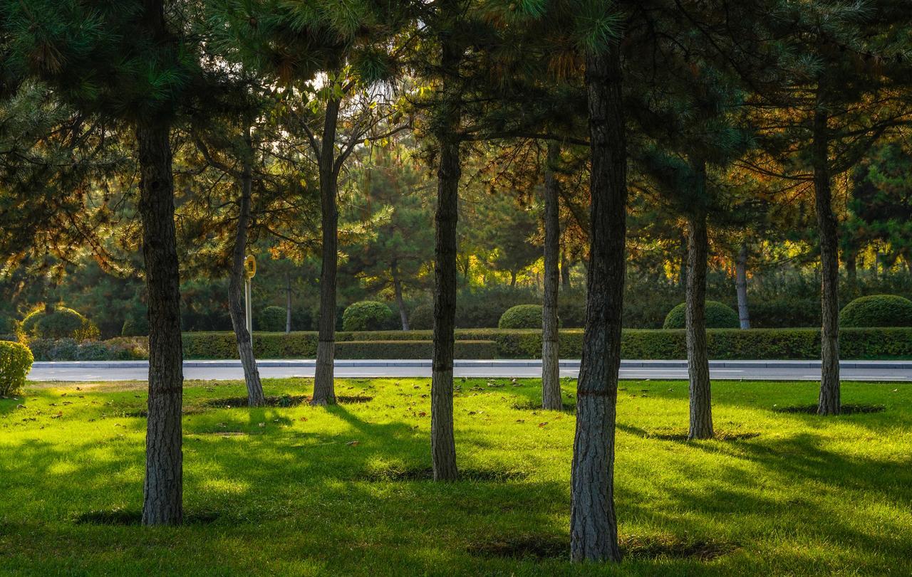 Qingshan Hotel Baotou Exterior photo